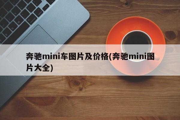 奔驰mini车图片及价格(奔驰mini图片大全)