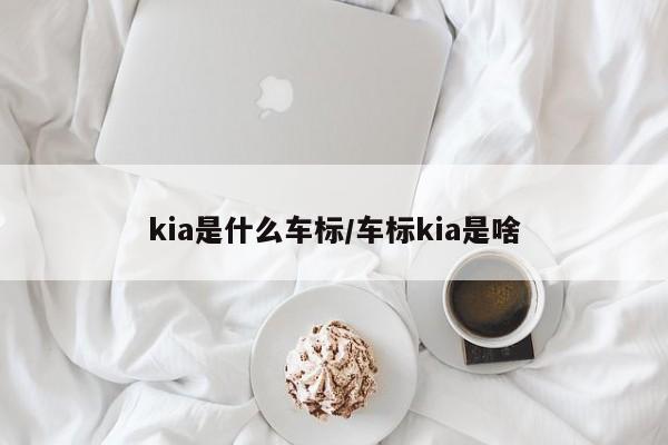 kia是什么车标/车标kia是啥